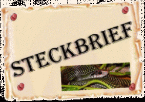 steckbrief schlangen1