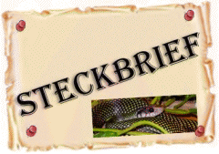 steckbrief schlangen1